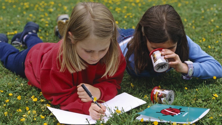 Two children look closely at a book and through a bug viewer at Croome, Worcestershire